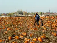 bike ride 101117 5.webp
