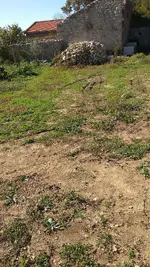 IMG_20171019_110202.webp