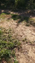 IMG_20171019_110206.webp