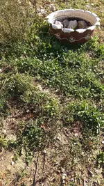 IMG_20171019_110208.webp