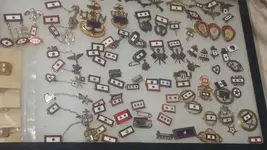 pins.webp