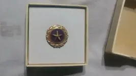 gold star pin.webp