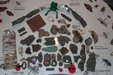 Scouting Hunts ACP & Schultze 010.webp Scouting Hunts ACP & Schultze 010.webp