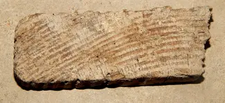 DSCN7679.webp