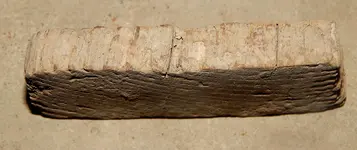 DSCN7680.webp