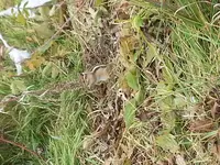 20170923_155256.webp