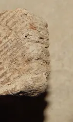 DSCN7683.webp