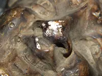 DSCN7954.webp