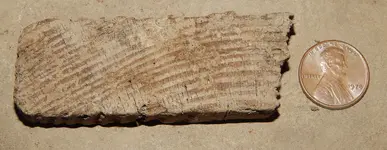 DSCN7686.webp