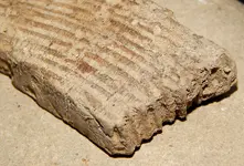 DSCN7687.webp