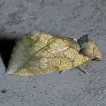 XQORKQJR0Q9R40OQ3KWR3K9RSQDRMQCRQQR0X03Q3K1RG0OQ403QLQCQG09RLQ1R40TQ40CQYKVR.webp
