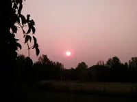 IMG_20170904_071723.webp