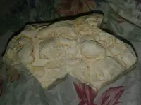1505338563476.webp