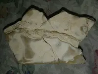 1505338913669.webp