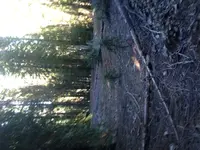 image3 (1).webp