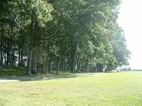 DSCF0003.webp