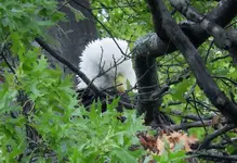 K1600_DSCN4630.webp