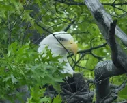 K1600_DSCN4633.webp