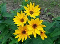 K1600_DSCN4563.webp