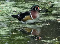 K1600_DSCN4649.webp