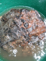 20131123_102642.gif