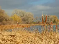 walk 110217 lake.webp