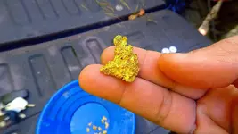 Gold Nuggets at the Falls 3.webp