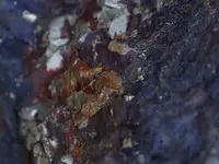 17101814495979.webp