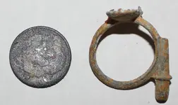 odd ring 2.webp