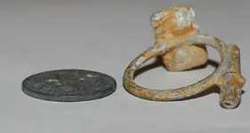 odd ring 3.webp