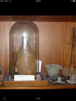 ImageUploadedByTreasureNet.com1509026523.992691.webp
