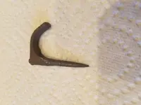 Old nail 2.webp Old nail 2.webp