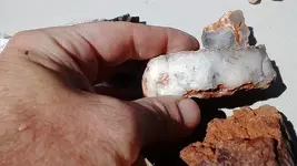 minerals (7).webp minerals (7).webp