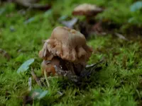 DSCN0743.webp
