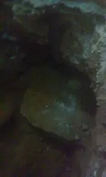 received_1405784789540907.webp