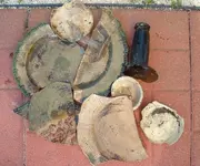 tableware colonial.webp