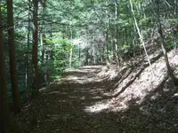 trail2.webp