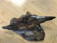wood4.webp