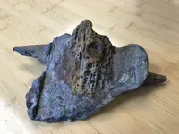 wood5.webp