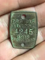 ImageUploadedByTreasureNet.com1507832478.279727.webp