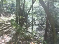 trail.webp