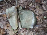 20170904_185003.webp