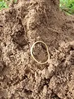 Ring from City Park.webp