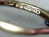gold ring Herring Run Park.webp gold ring Herring Run Park.webp