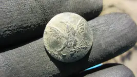 A eagle button 012.webp