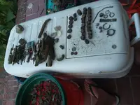 20170904_181445.webp