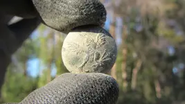 A eagle button 013.webp