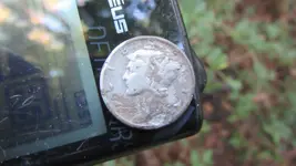A eagle button 006.webp