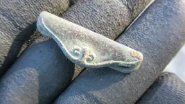 A eagle button 009.webp