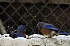 DSCN1077.webp